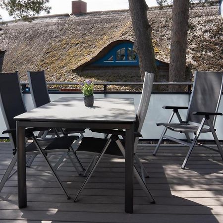 Haus Am Duenenwald Duene 4 Apartamento Zingst Exterior foto